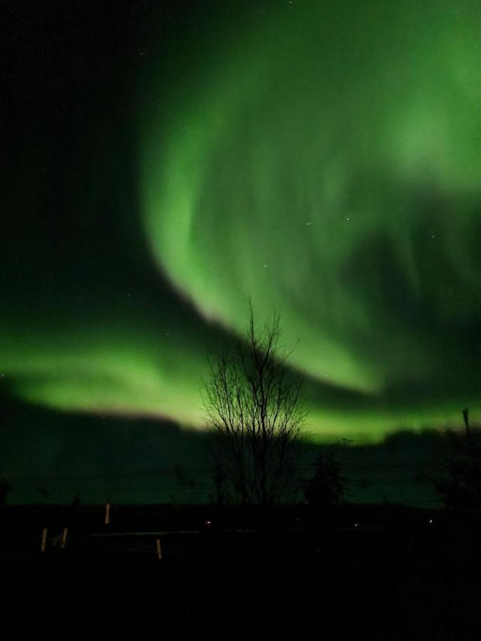 Kaldá Lyngholt Holiday Homes Egilsstaðir Eksteriør billede